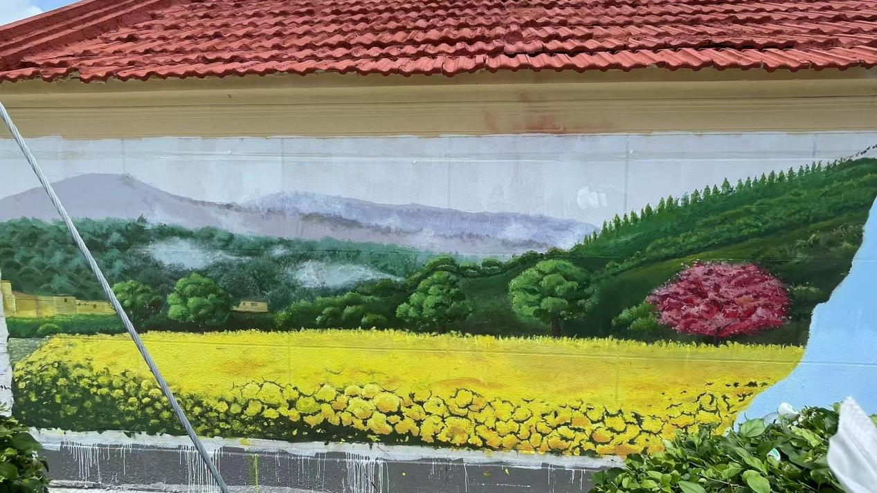 文章配图